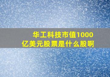 华工科技市值1000亿美元股票是什么股啊