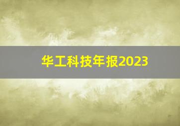 华工科技年报2023