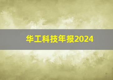 华工科技年报2024