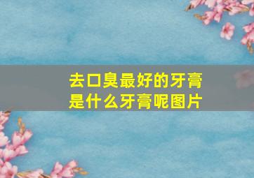 去口臭最好的牙膏是什么牙膏呢图片