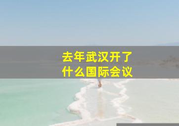 去年武汉开了什么国际会议