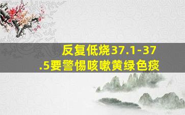 反复低烧37.1-37.5要警惕咳嗽黄绿色痰