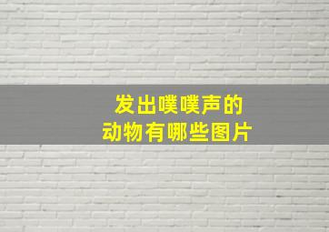 发出噗噗声的动物有哪些图片