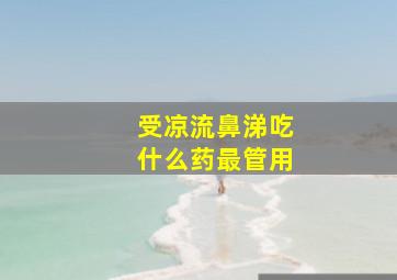 受凉流鼻涕吃什么药最管用