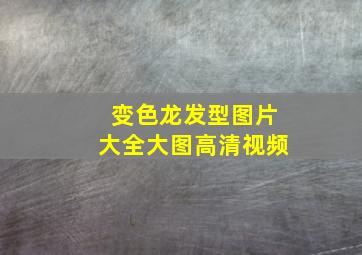 变色龙发型图片大全大图高清视频