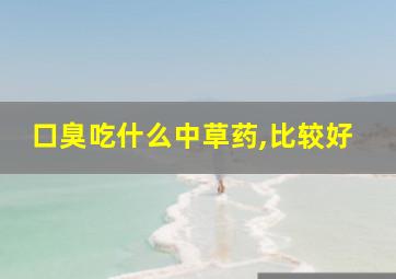 口臭吃什么中草药,比较好