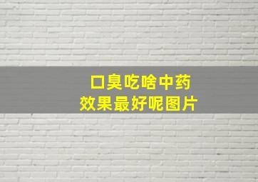 口臭吃啥中药效果最好呢图片