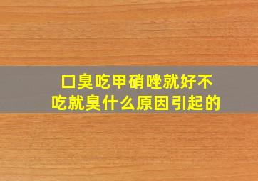 口臭吃甲硝唑就好不吃就臭什么原因引起的