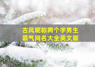 古风昵称两个字男生霸气网名大全英文版