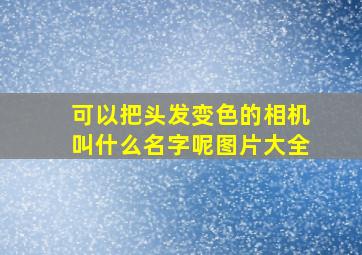 可以把头发变色的相机叫什么名字呢图片大全