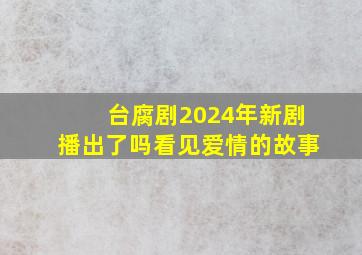 台腐剧2024年新剧播出了吗看见爱情的故事