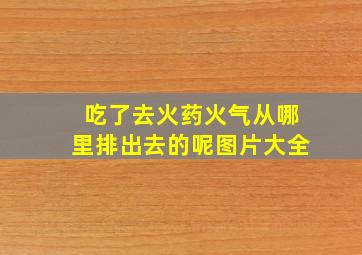 吃了去火药火气从哪里排出去的呢图片大全