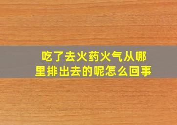 吃了去火药火气从哪里排出去的呢怎么回事