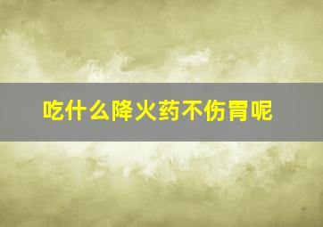 吃什么降火药不伤胃呢