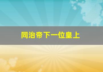 同治帝下一位皇上