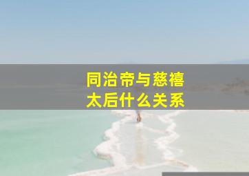 同治帝与慈禧太后什么关系