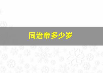 同治帝多少岁