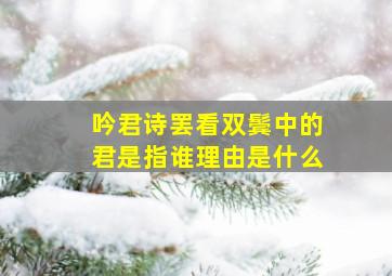 吟君诗罢看双鬓中的君是指谁理由是什么