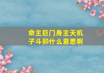 命主巨门身主天机子斗卯什么意思啊