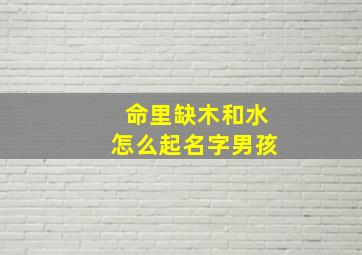 命里缺木和水怎么起名字男孩