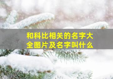 和科比相关的名字大全图片及名字叫什么