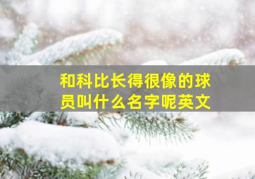 和科比长得很像的球员叫什么名字呢英文