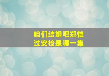 咱们结婚吧郑恺过安检是哪一集