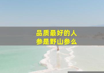 品质最好的人参是野山参么