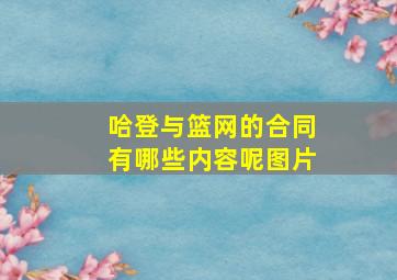 哈登与篮网的合同有哪些内容呢图片