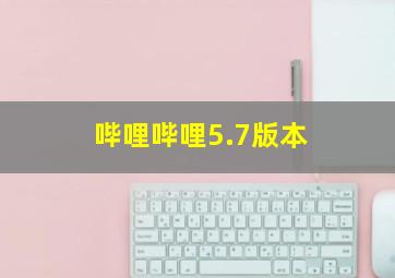 哔哩哔哩5.7版本