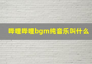 哔哩哔哩bgm纯音乐叫什么