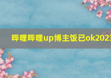 哔哩哔哩up博主饭已ok2023