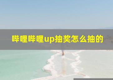 哔哩哔哩up抽奖怎么抽的