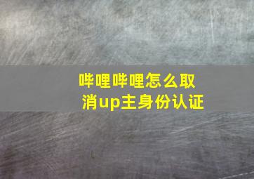 哔哩哔哩怎么取消up主身份认证