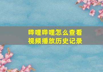 哔哩哔哩怎么查看视频播放历史记录