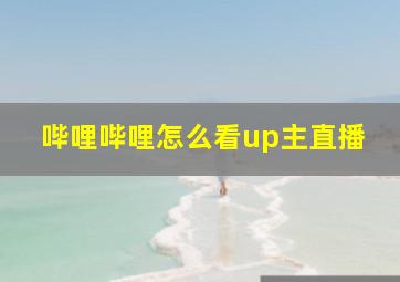 哔哩哔哩怎么看up主直播