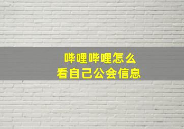 哔哩哔哩怎么看自己公会信息