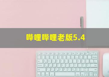 哔哩哔哩老版5.4