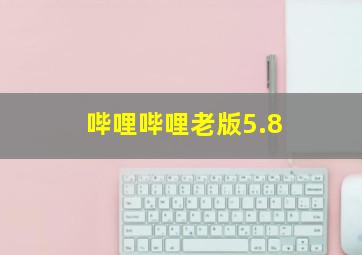 哔哩哔哩老版5.8