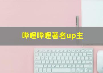 哔哩哔哩著名up主