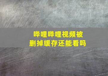 哔哩哔哩视频被删掉缓存还能看吗