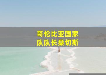 哥伦比亚国家队队长桑切斯