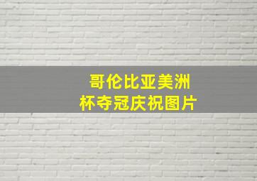 哥伦比亚美洲杯夺冠庆祝图片