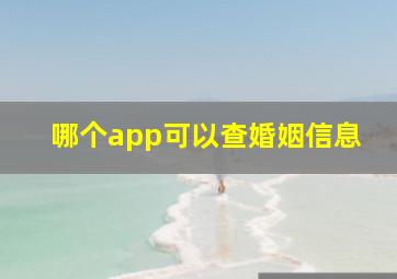 哪个app可以查婚姻信息