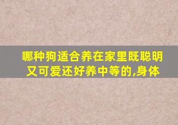 哪种狗适合养在家里既聪明又可爱还好养中等的,身体