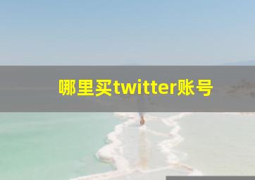 哪里买twitter账号