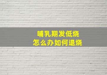 哺乳期发低烧怎么办如何退烧