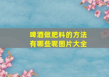 啤酒做肥料的方法有哪些呢图片大全