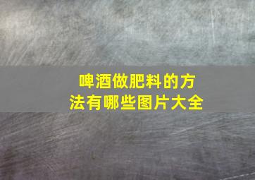 啤酒做肥料的方法有哪些图片大全