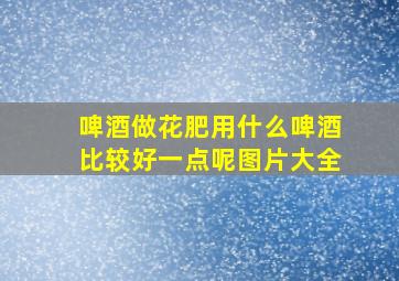 啤酒做花肥用什么啤酒比较好一点呢图片大全